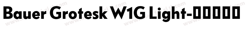 Bauer Grotesk W1G Light字体转换